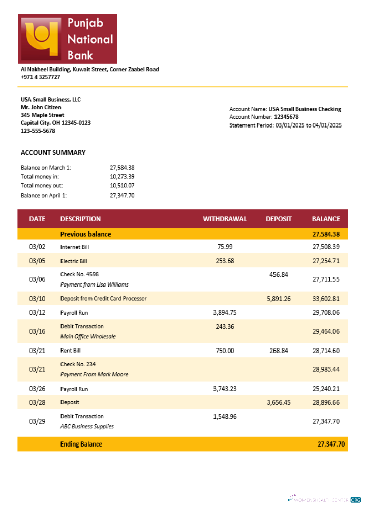 Download UAE Dubai PNB enterprise statement Word and PDF template Photoshop template